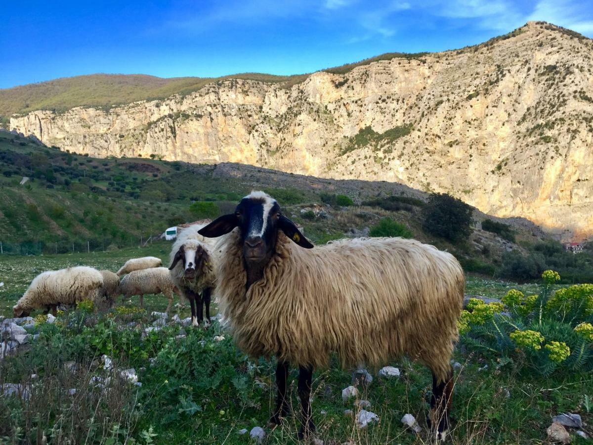 Il Comignolo Di Sofia Bed & Breakfast Civita Dış mekan fotoğraf