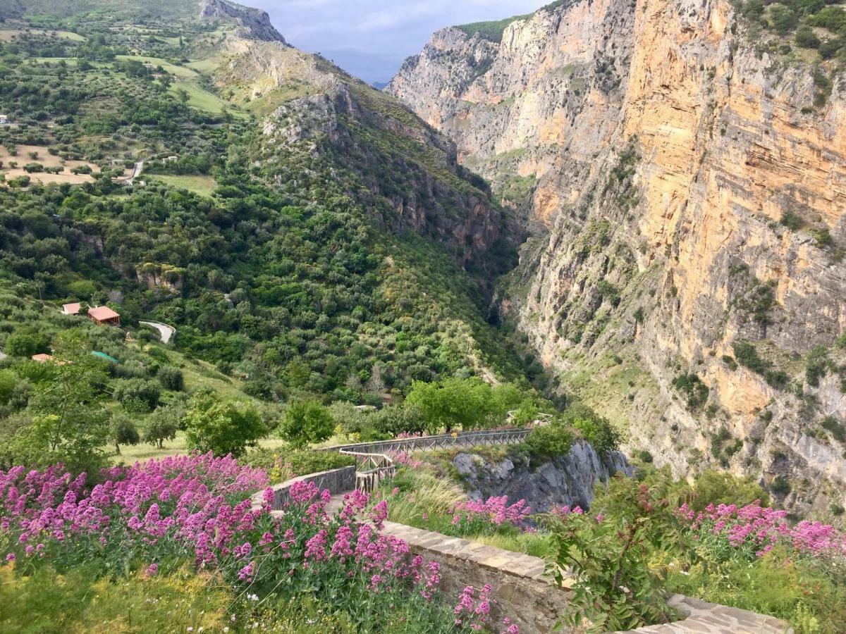 Il Comignolo Di Sofia Bed & Breakfast Civita Dış mekan fotoğraf