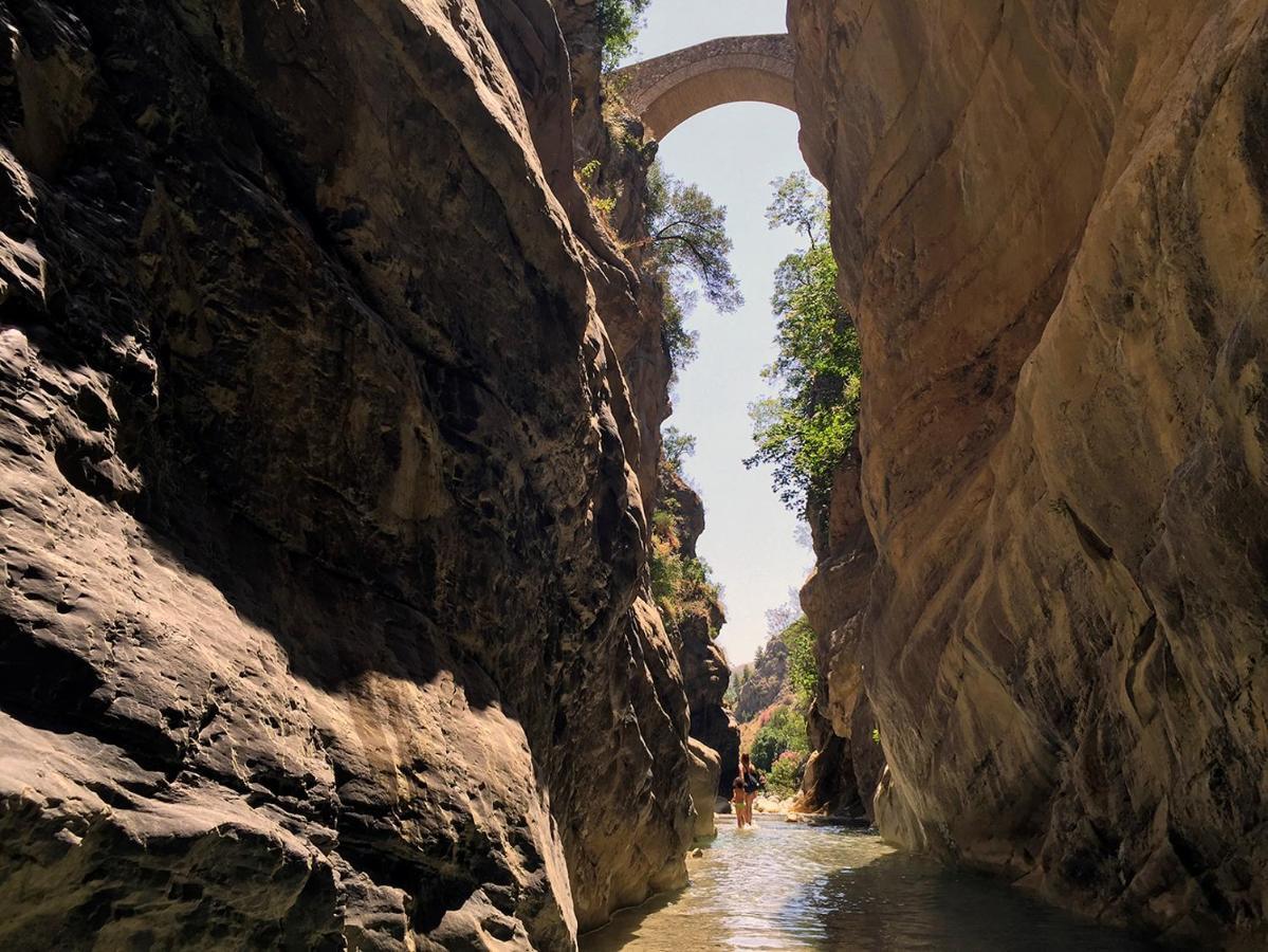 Il Comignolo Di Sofia Bed & Breakfast Civita Dış mekan fotoğraf